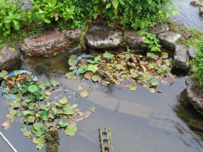 DSC04444