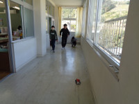 DSC07105