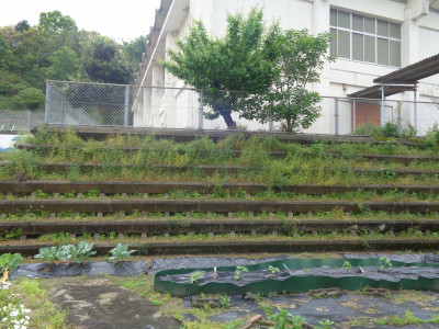 DSC04209