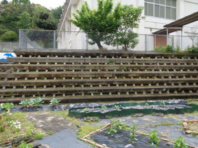 DSC04234