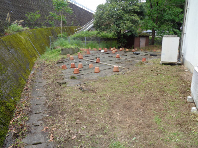 DSC04231