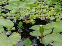 DSC04895