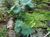 DSC05400