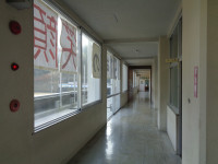 DSC07194