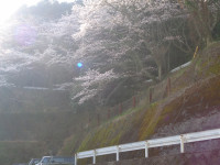 DSC07203
