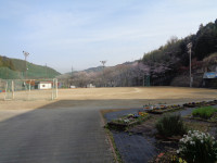 DSC07204