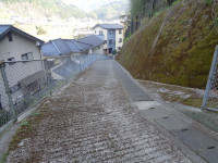 DSC07212
