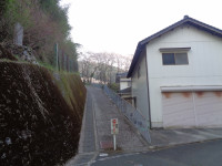 DSC07217
