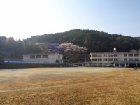 DSC07219